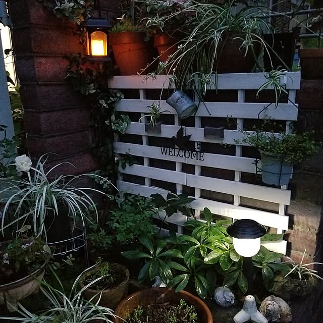 midoriさんの部屋