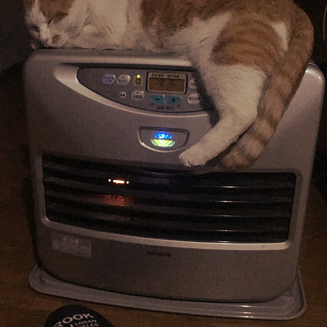 cattowerさんの実例写真