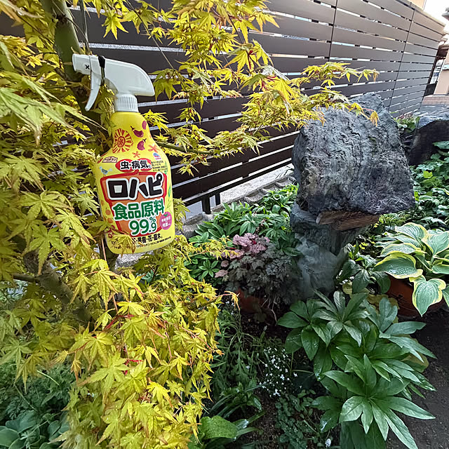 buchiさんの実例写真