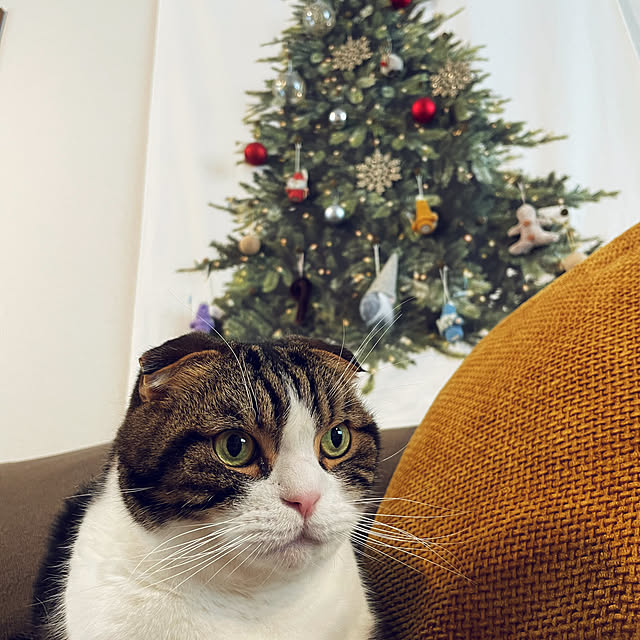tansukeさんの部屋