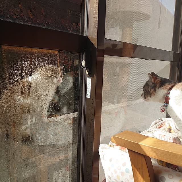 fukuさんの実例写真