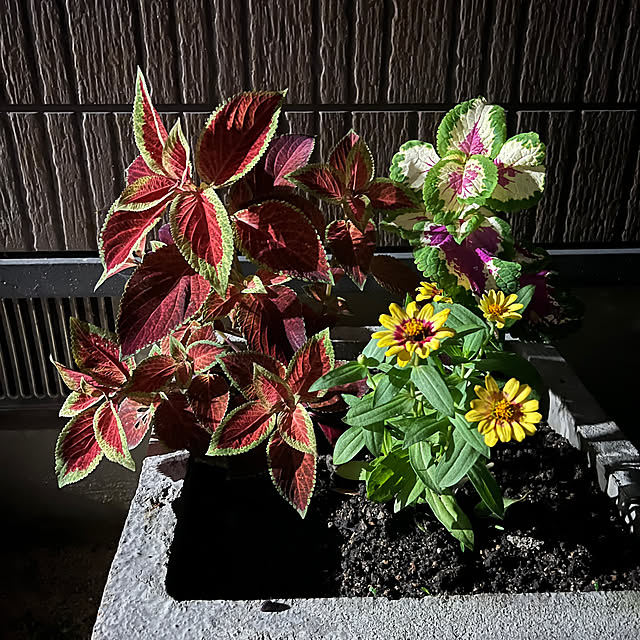 sakakenさんの部屋