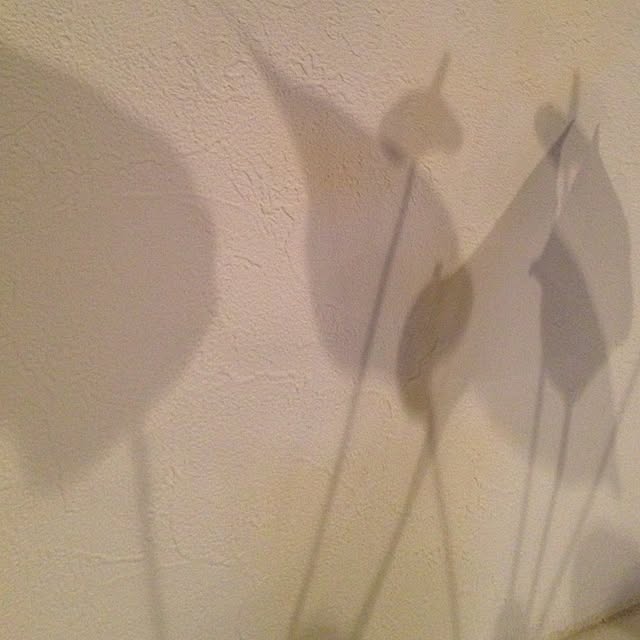 FXさんの実例写真