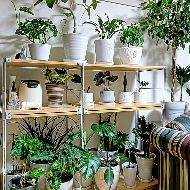 hanachanさんの実例写真