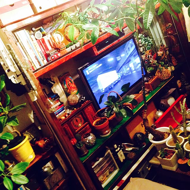 framelineさんの実例写真
