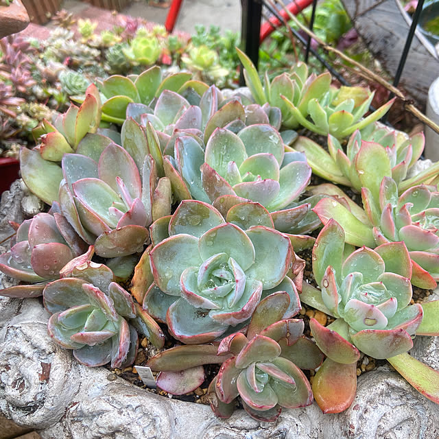 na-chanさんの部屋