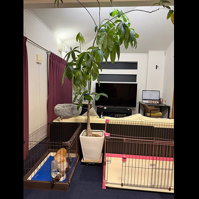 takeshiさんの実例写真