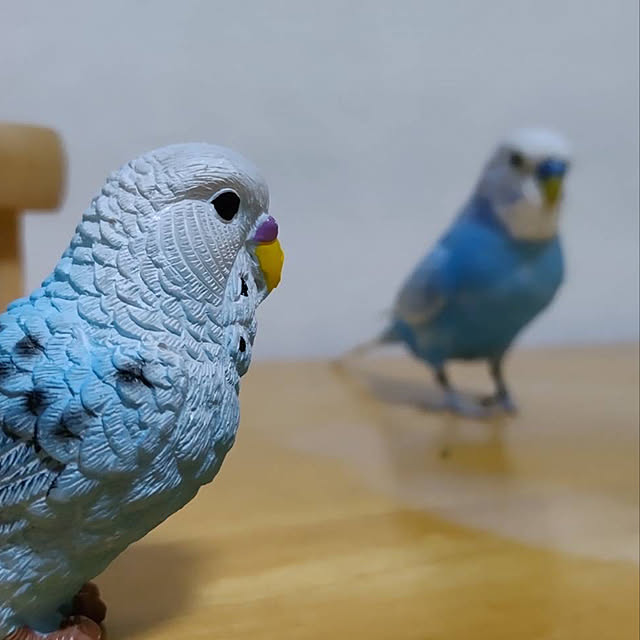 toratanさんの実例写真