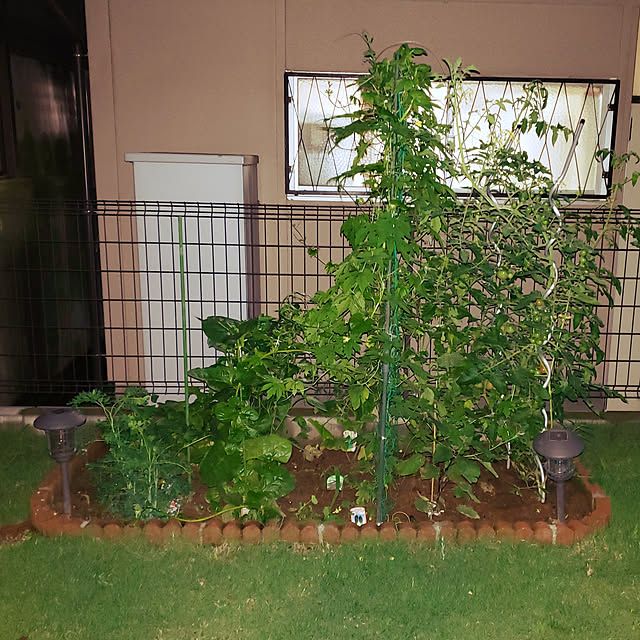 masaさんの実例写真