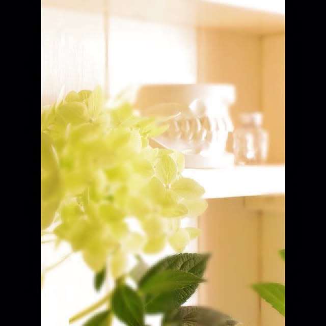 mooさんの実例写真