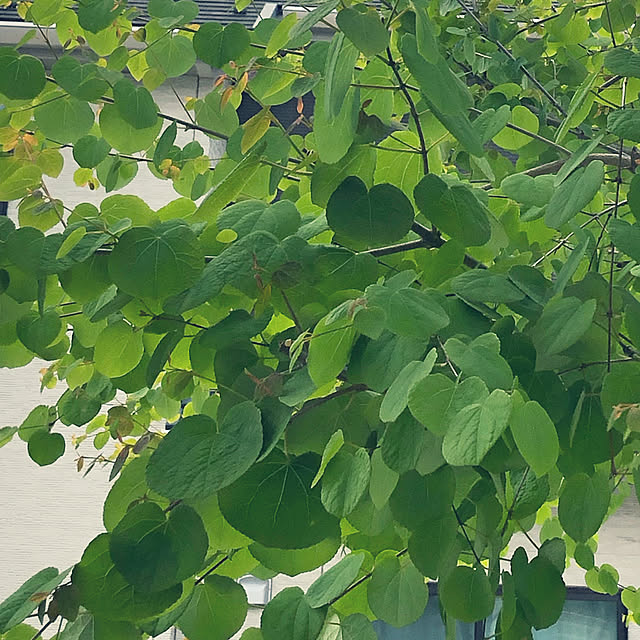 Taeさんの実例写真