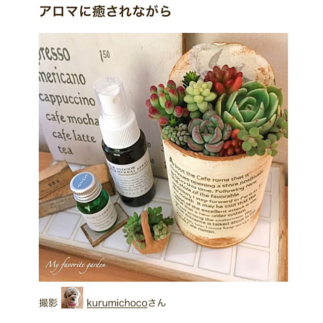 kurumichocoさんの実例写真