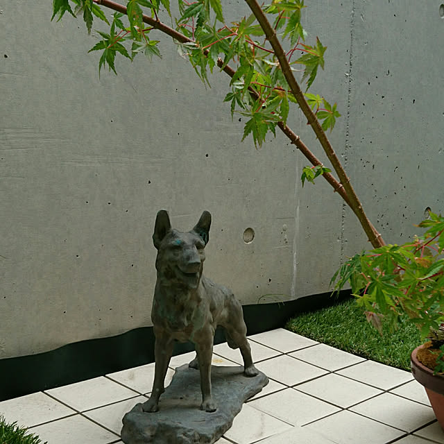 bonobono54さんの実例写真