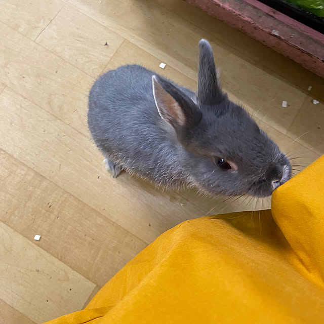 ohanaさんの部屋