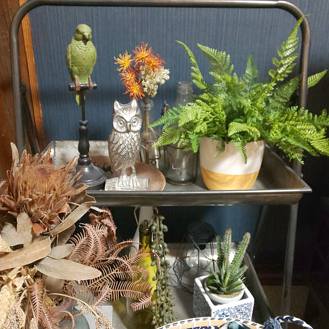 mizuさんの実例写真