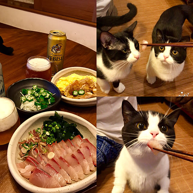 butachanさんの実例写真
