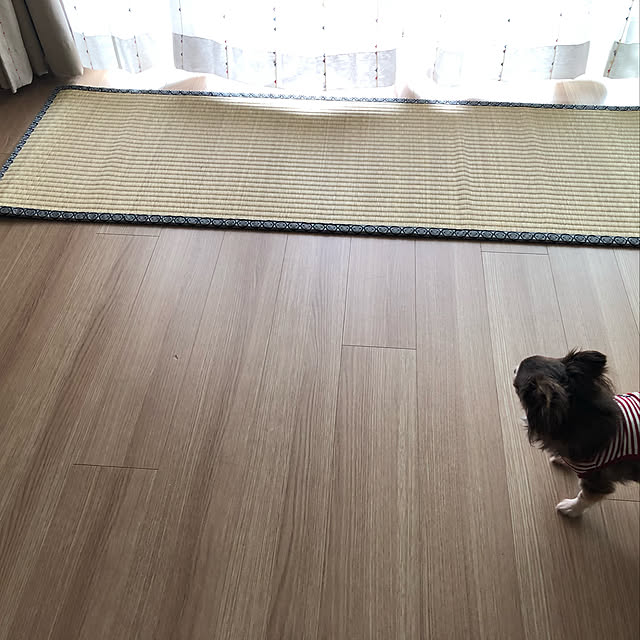 iwamayuさんの実例写真