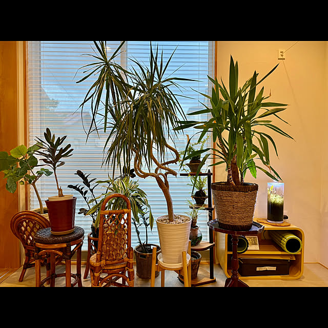 tamabaka1971さんの部屋