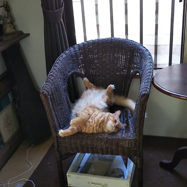 gabさんの実例写真