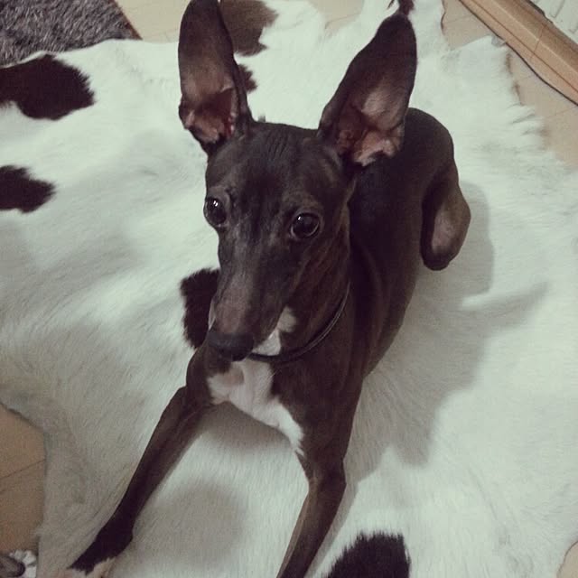 andさんの実例写真