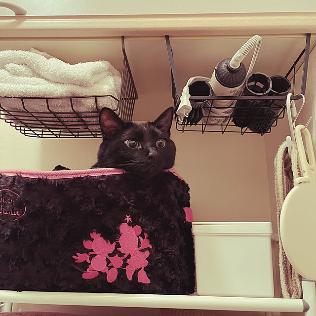 nyaさんの実例写真