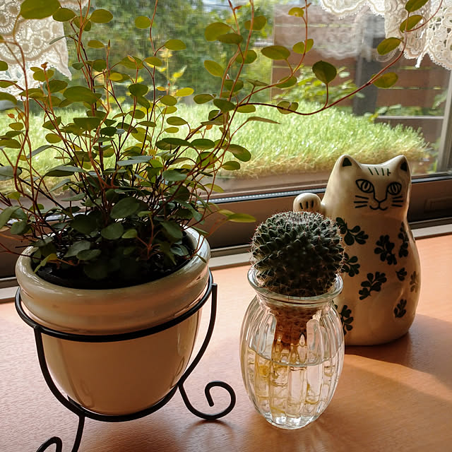 makotomosukeさんの実例写真
