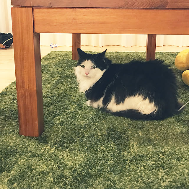 pppppさんの実例写真