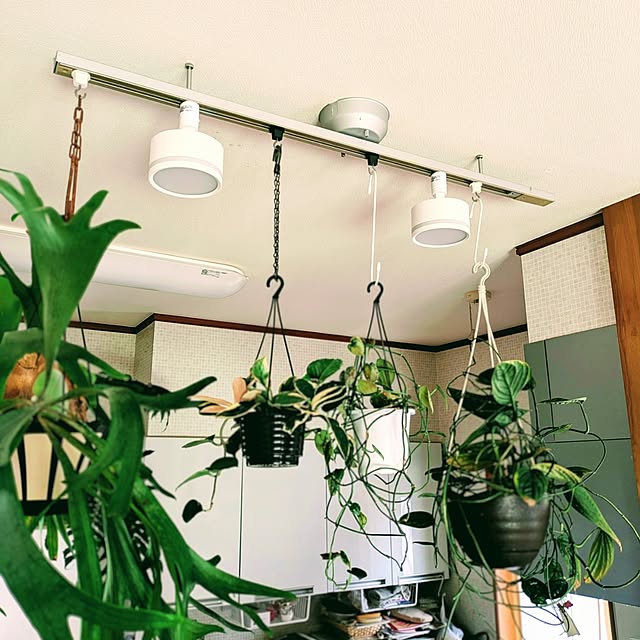 ot-gardenさんの実例写真