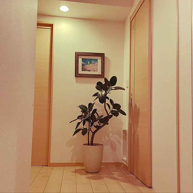 kudeさんの実例写真
