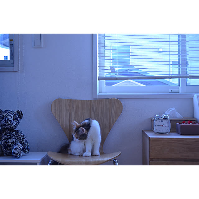 kiichigoさんの実例写真