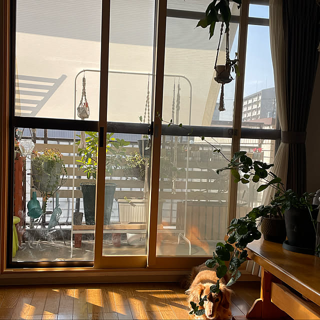 nicoさんの実例写真