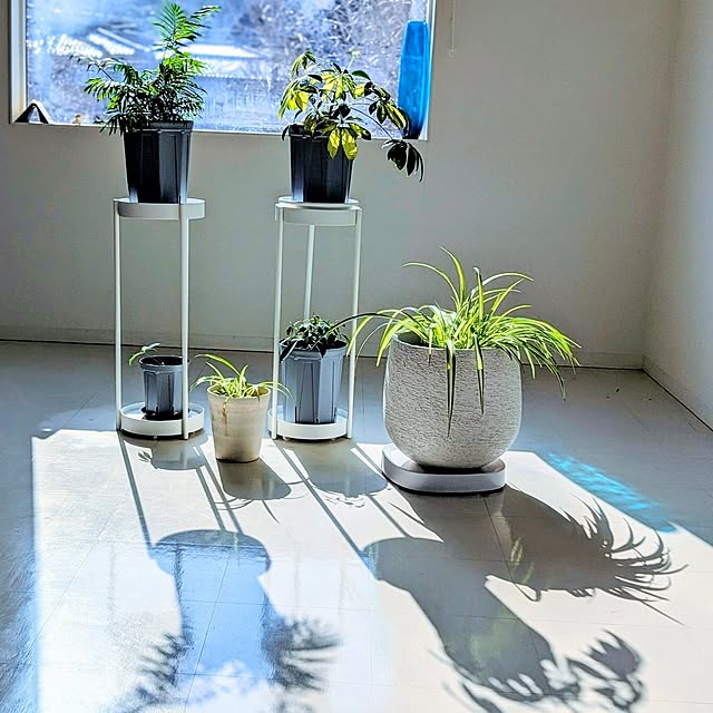 a.co.さんの実例写真