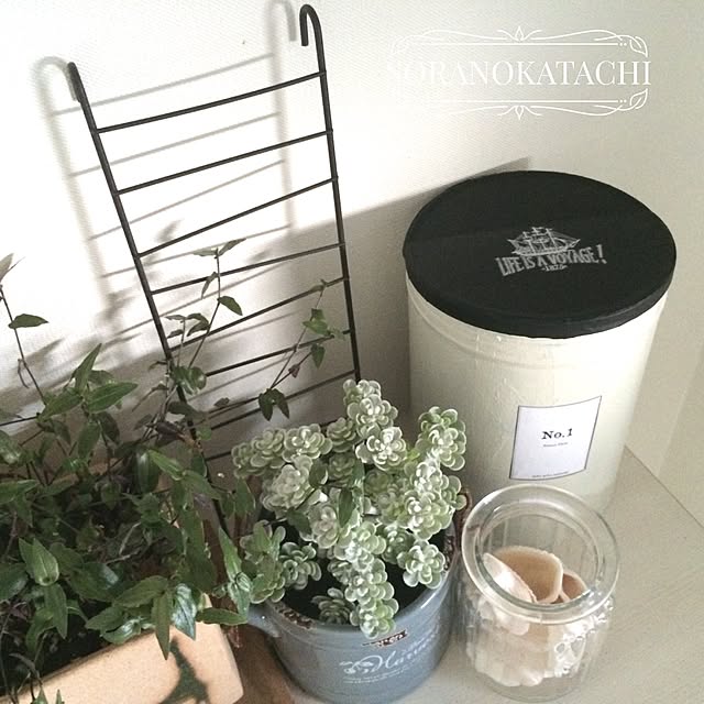 soranokatachiさんの実例写真
