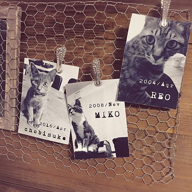 kodakusan.sakiさんの実例写真