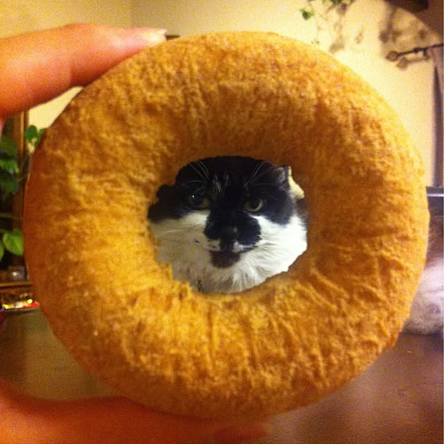 shigimiさんの実例写真