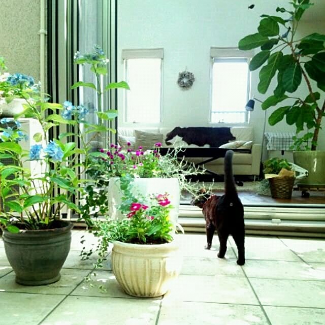 coconana165さんの実例写真