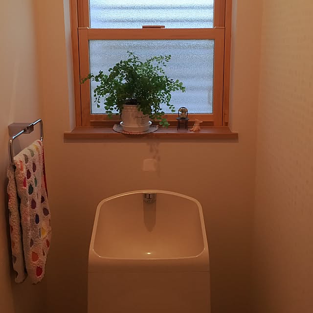 norisanさんの実例写真