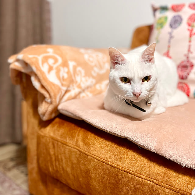 Maiさんの実例写真