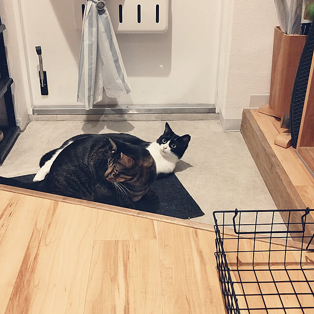 hihaさんの実例写真