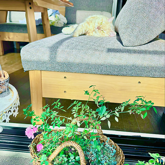 naokoさんの部屋