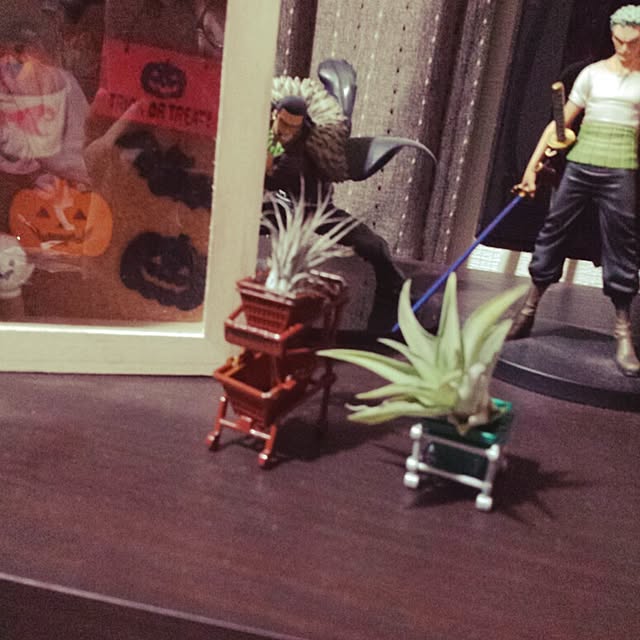 eriさんの実例写真