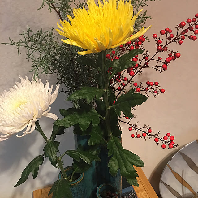 happy-sachiさんの部屋