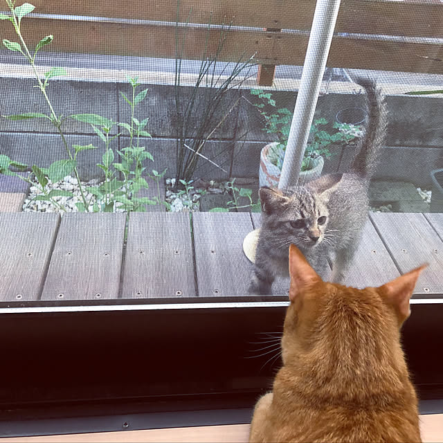 takakoさんの実例写真