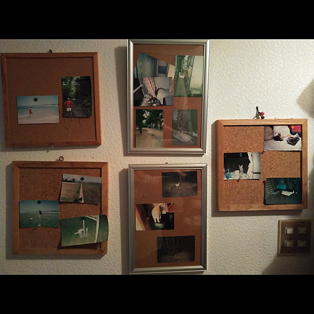 catloveさんの実例写真