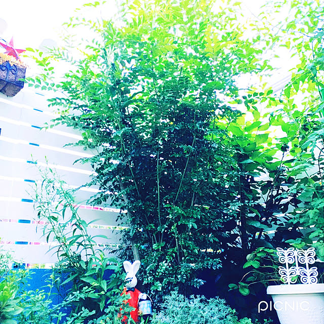 Miyumamaさんの実例写真