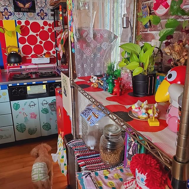 kumutanさんの実例写真