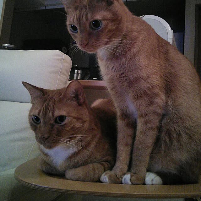 seasky825さんの実例写真