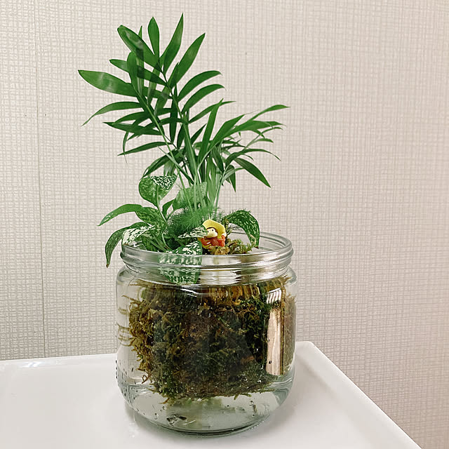 chi.さんの実例写真