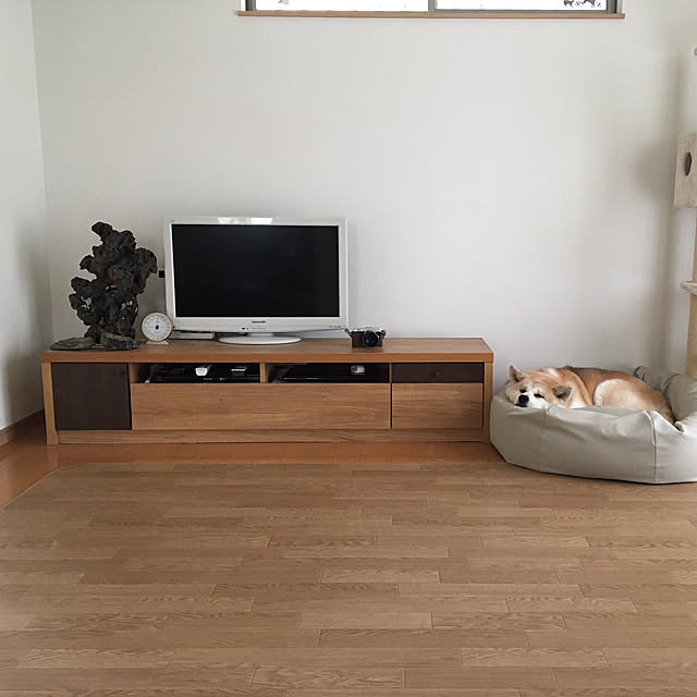 akitainu7さんの実例写真