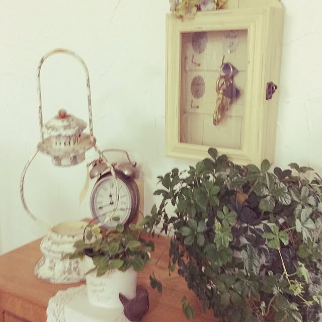 Conteさんの実例写真